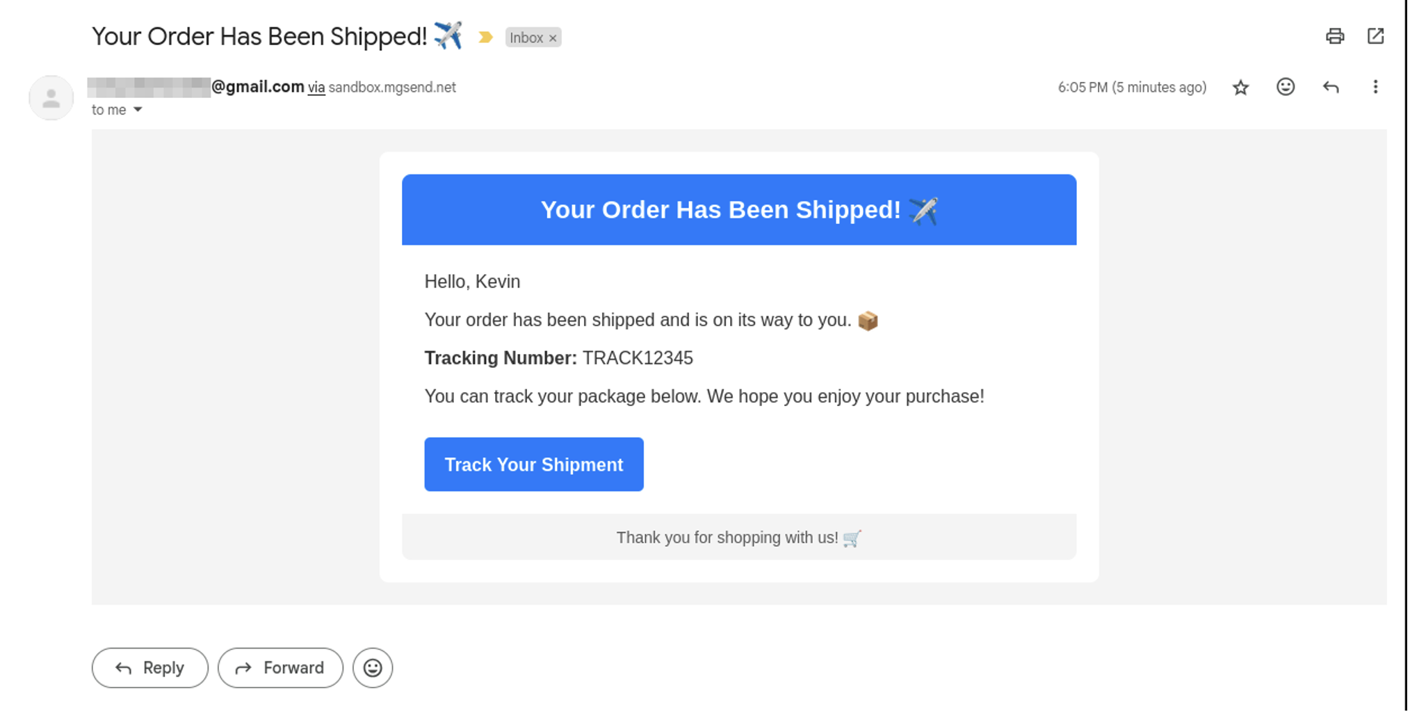 Your order has shipped screen image