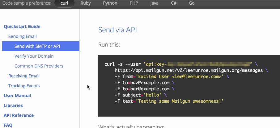 A GIF showing the API key